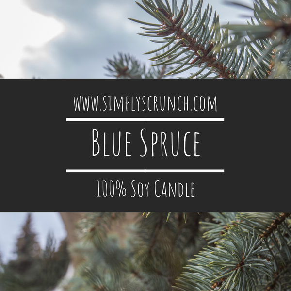Blue Spruce