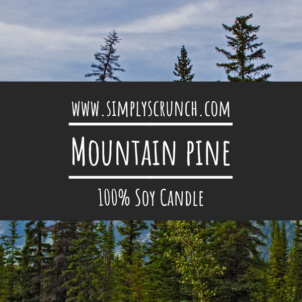 Mountain Pine